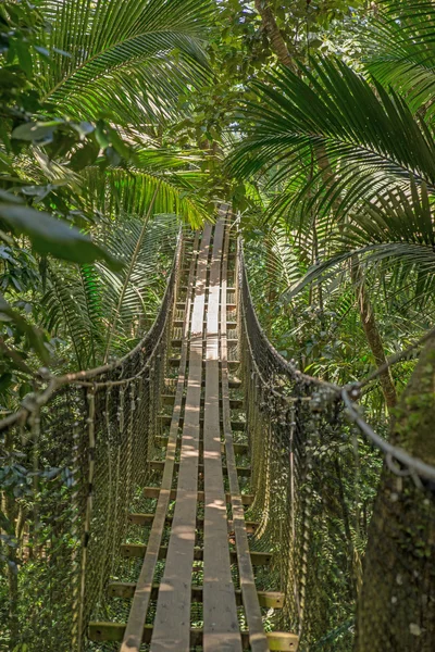 Upphängningsbro i skogen — Stockfoto