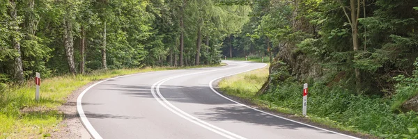 Sinuoso camino en el bosque — Foto de Stock