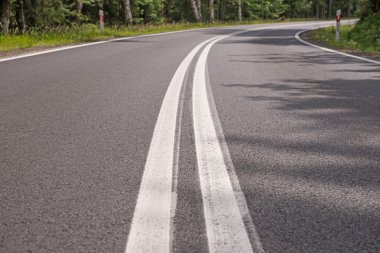 Ormanda dolambaçlı yol