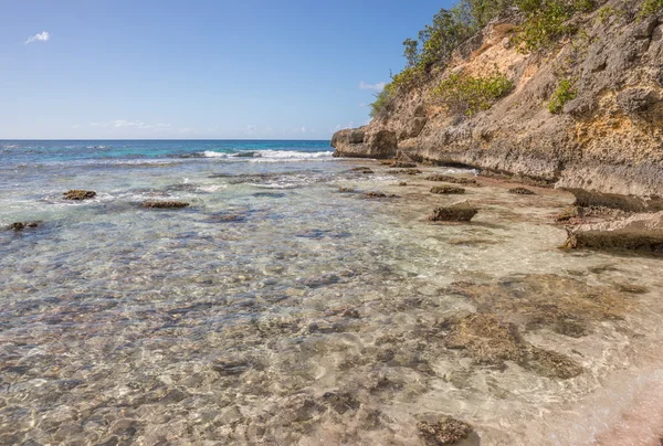 Karibské pláži v Guadeloupe — Stock fotografie