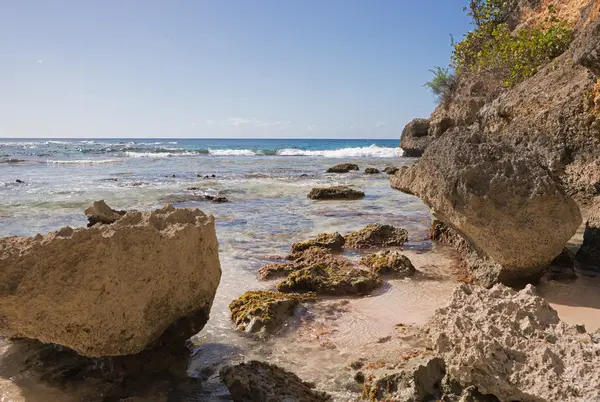 Playa del Caribe en Guadalupe — Foto de Stock