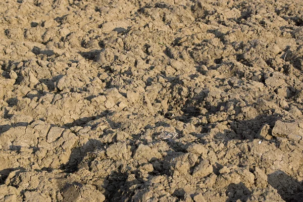 土壌テクスチャ背景のクローズ アップ — ストック写真