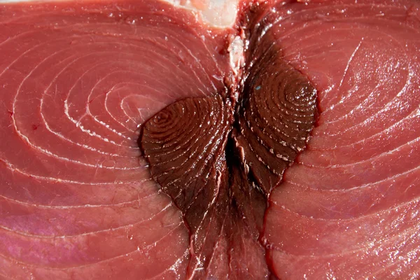 Filet von rotem Thunfisch — Stockfoto