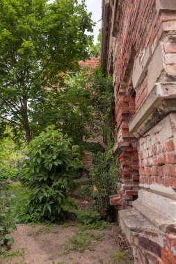 eski yıkık duvar penceresinde