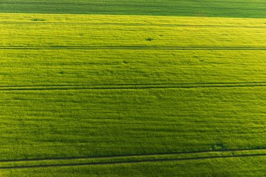 Büyük tarıma elverişli alanların hava fotoğrafı