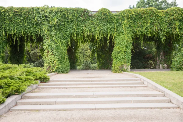 Arco da giardino, pergola, Breslavia — Foto Stock