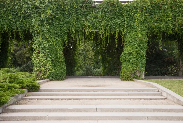 Garden archway, pergola, Wroclaw — Stok Foto