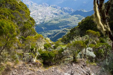 Dağlardan Cilaos için göster
