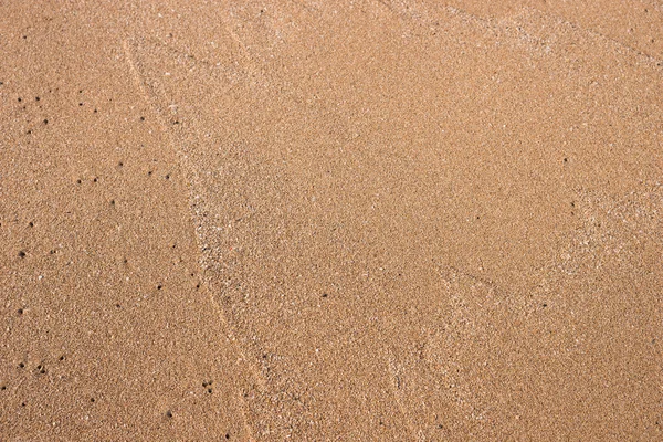 砂質 — ストック写真