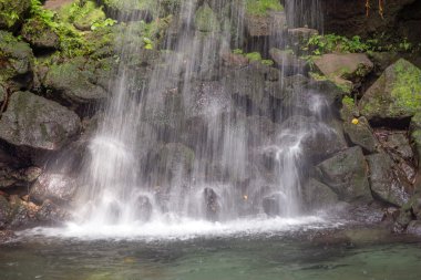 Zümrüt havuzu, Dominika