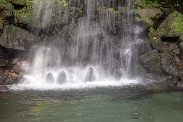 Emerald pool, Dominica — Stock Photo, Image