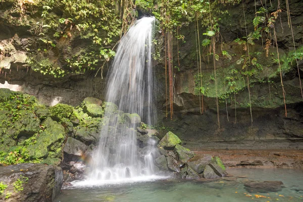 Emerald pool, Dominica — Stock Photo, Image