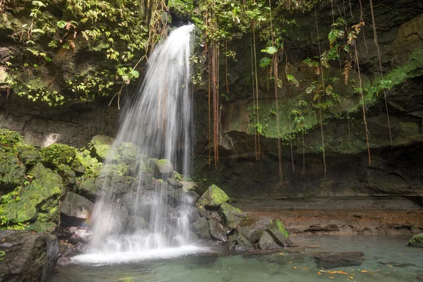 Emerald pool, Dominica — Stock Photo, Image
