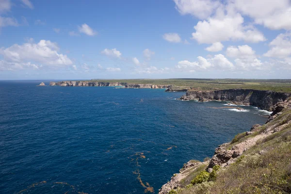 Pointe de la Grande Vigie, Guadalupe — Fotografia de Stock