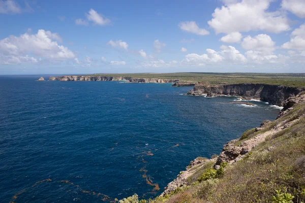 Pointe de la Grande Vigie, Guadalupe —  Fotos de Stock