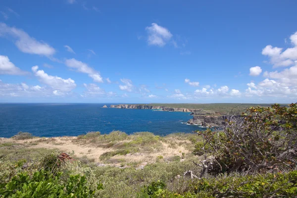 Pointe de la Grande Vigie, Guadalupe — Fotografia de Stock