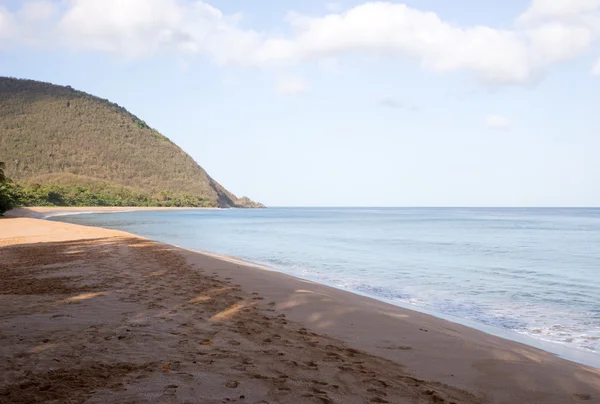 Strand von grande anse in deshaies — Stockfoto