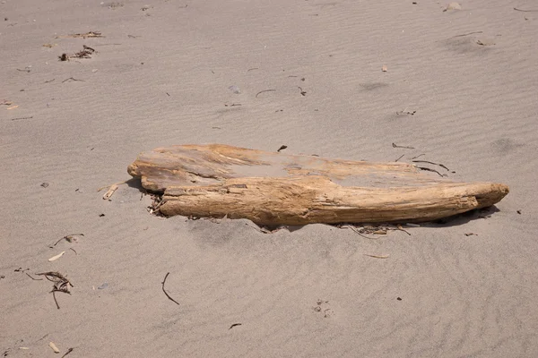Deadwood en la playa de arena —  Fotos de Stock
