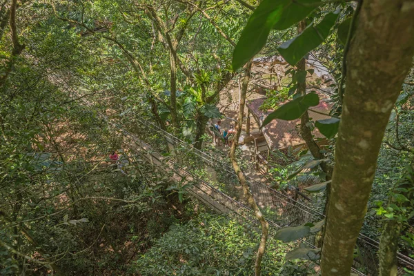 森林中的吊桥 — 图库照片