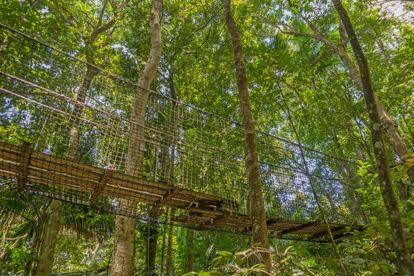 Puente colgante en el bosque — Foto de Stock