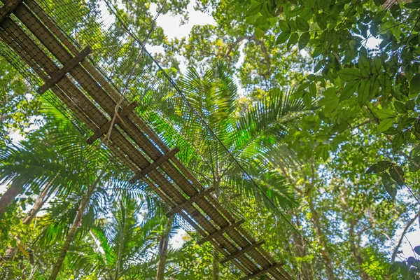 Puente colgante en el bosque — Foto de Stock