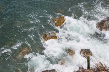 Moss ile ıslak taşlar