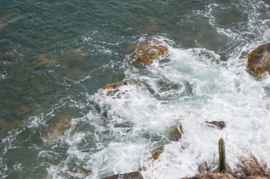 Moss ile ıslak taşlar