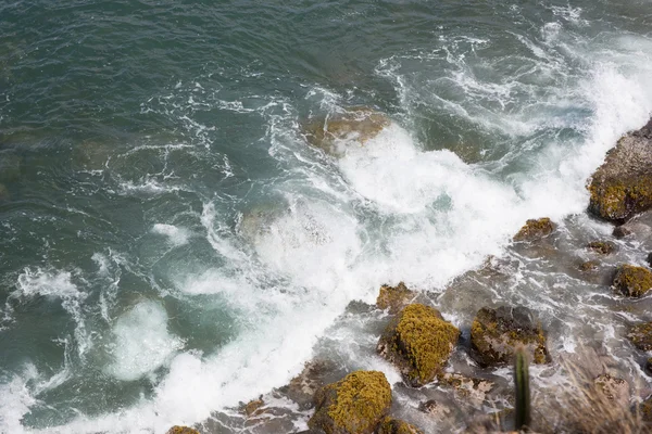 Moss ile ıslak taşlar