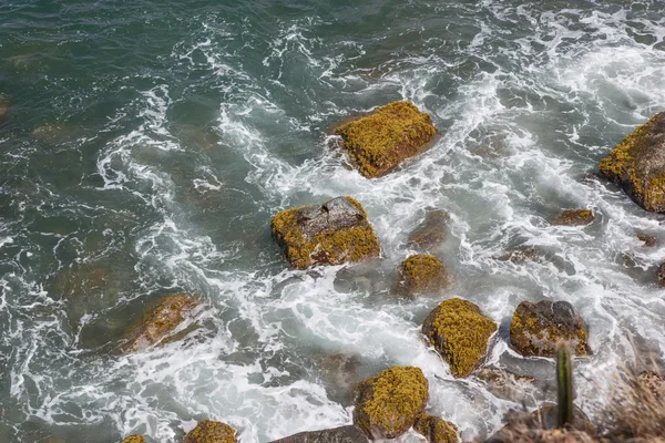 Pedras molhadas com musgo — Fotografia de Stock