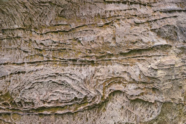 Muschio sulla parete rocciosa — Foto Stock
