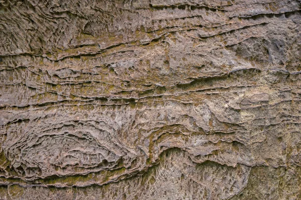 Rock yüzünde moss — Stok fotoğraf