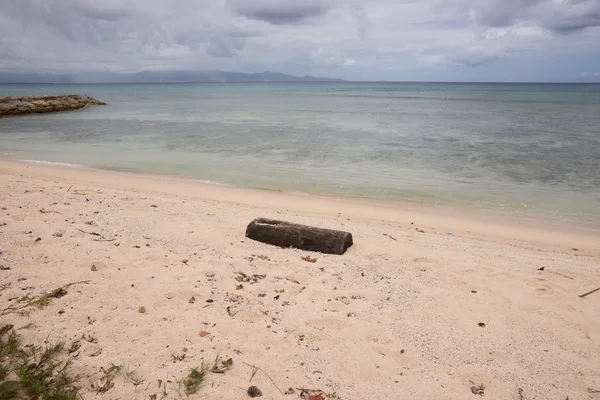 Deadwood en la playa de arena — Foto de Stock