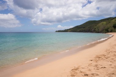 Grande Anse Plajı, Deshaies