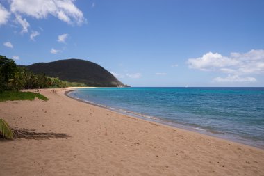 Grande Anse Plajı, Deshaies