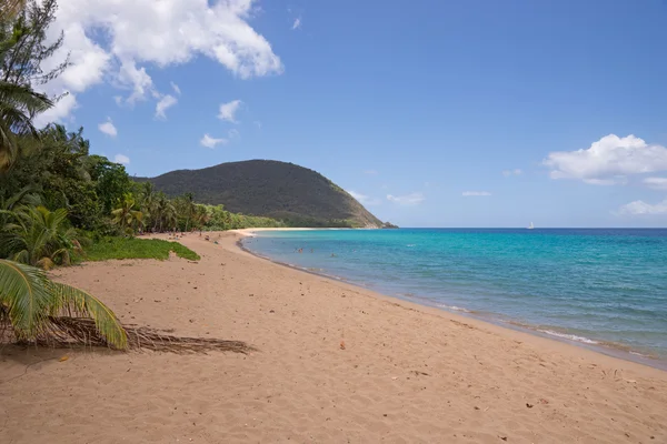 Praia de Grande Anse, Deshaies — Fotografia de Stock