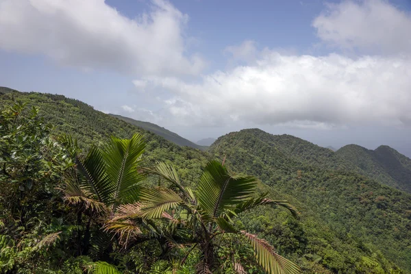 Montañas en la isla caribeña de Dominica — Foto de Stock