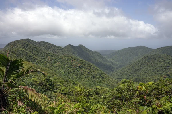 Montañas en la isla caribeña de Dominica — Foto de Stock