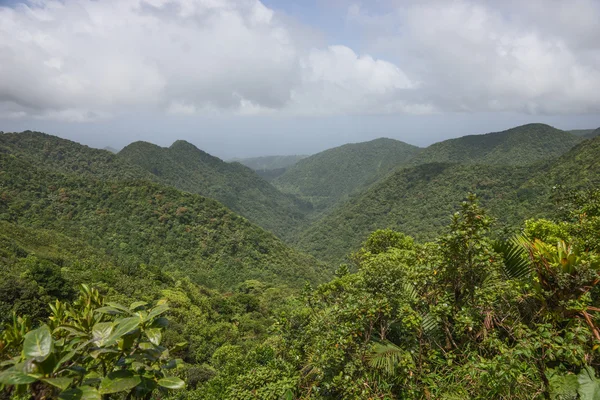 Montagnes sur l'île caribéenne de Dominique — Photo