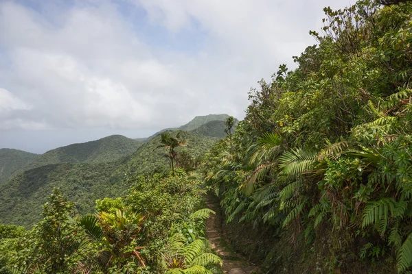Mountains on Caribbean island of Dominica — Stock Photo, Image
