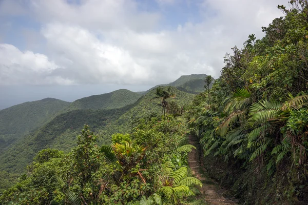 Mountains on Caribbean island of Dominica — Stock Photo, Image