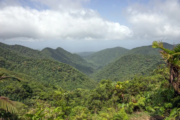 Montagne sull'isola caraibica di Dominica Immagine Stock