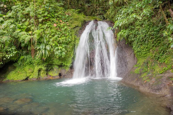 Beautiful waterfall in a rainforest. Cascades aux Ecrevisses — Stock Photo, Image