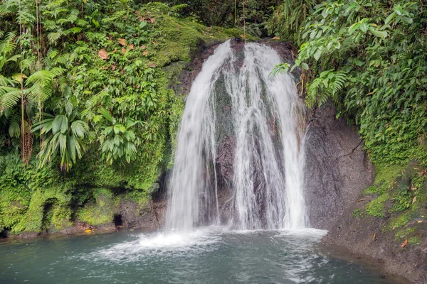 Beautiful waterfall in a rainforest. Cascades aux Ecrevisses — Stock Photo, Image