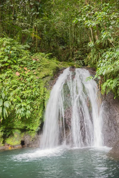 Beautiful waterfall in a rainforest. Cascades aux Ecrevisses — Stock Photo, Image