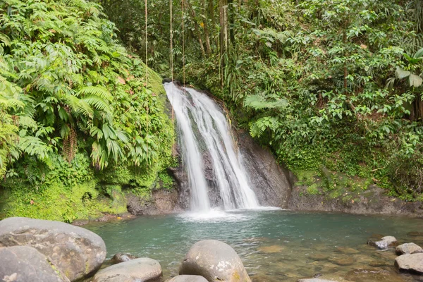 Beautiful waterfall in a rainforest. Cascades aux Ecrevisses — Stock Photo, Image