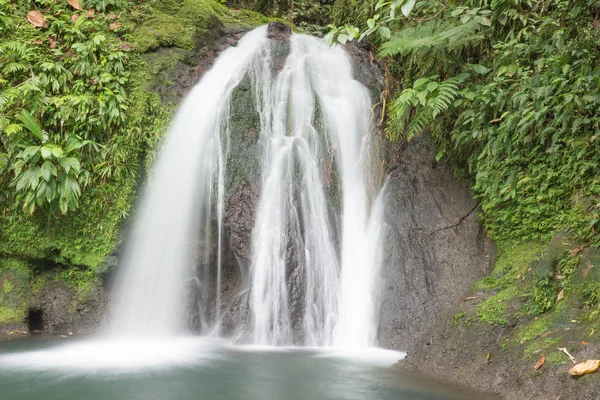 Prachtige waterval in een regenwoud. Cascades aux Ecrevisses — Stockfoto