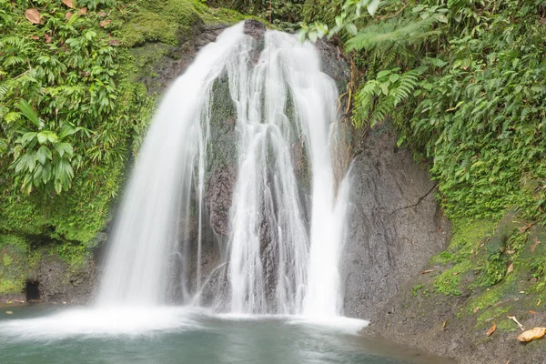 Prachtige waterval in een regenwoud. Cascades aux Ecrevisses — Stockfoto