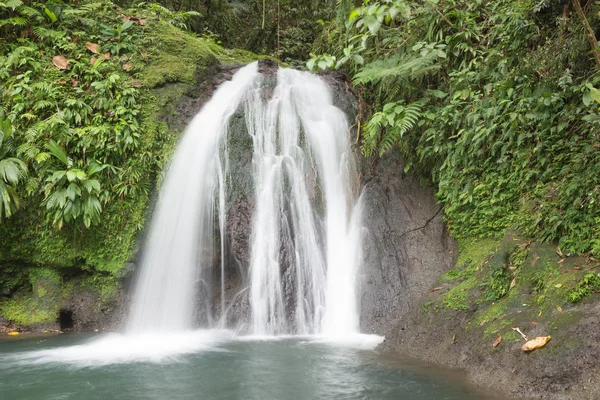 Beautiful waterfall in a rainforest. Cascades aux Ecrevisses — Stock Photo, Image