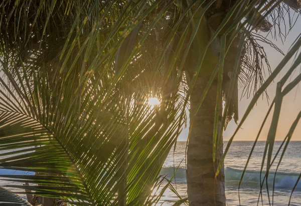Puesta de sol en la playa del mar Caribe — Foto de Stock
