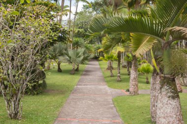 Martinique, parkta bir yürüyüş